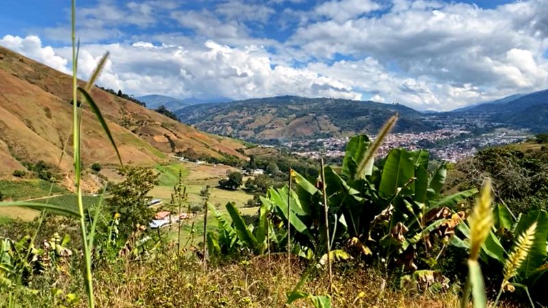 "La dormida": Científicos hallan nueva especie en los Andes de Venezuela +FOTOS