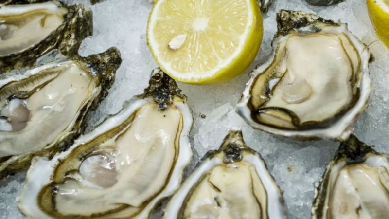 Dos fallecidos en EEUU por comer ostras crudas contaminadas +DETALLES
