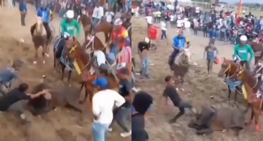 VIRAL: Investigarán a personas por brutal agresión a un toro en Lara