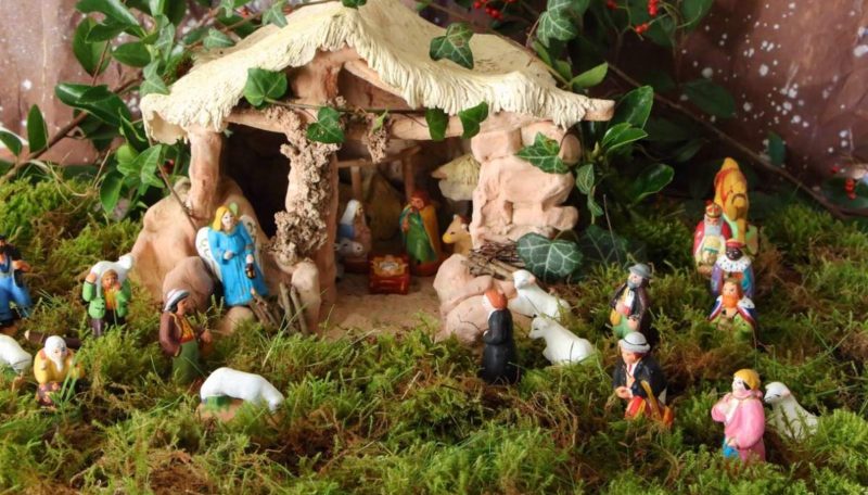 Activaron protocolo de protección por extracción ilegal de musgo para pesebres