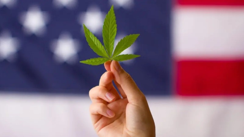 La marihuana será legal en Florida