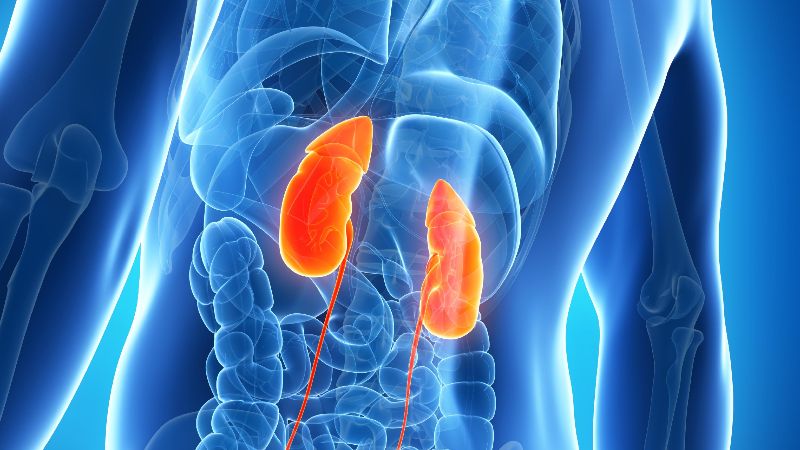 La enfermedad renal crónica es la novena causa de muerte en el mundo