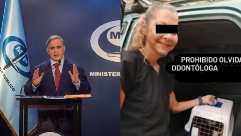 Imputan a mujer que adoptó a más de 40 gatitos en distintos refugios y "los desapareció"