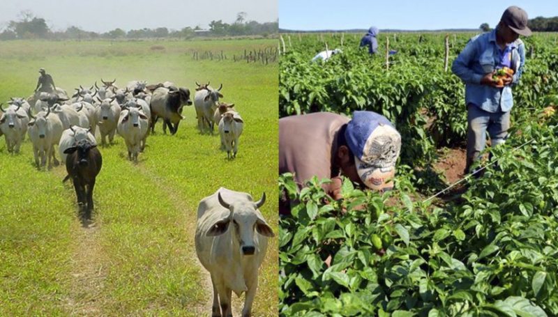 Gremio ganadero venezolano rechaza el vil asesinato de productor agropecuario en Guárico