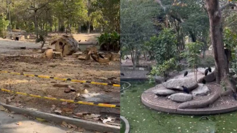 VIDEO VIRAL: El abandono de Parque del Este en Caracas que causa indignación en redes sociales