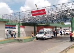 Cuatro niños hospitalizados tras consumir fruta de piñón que había en una casa