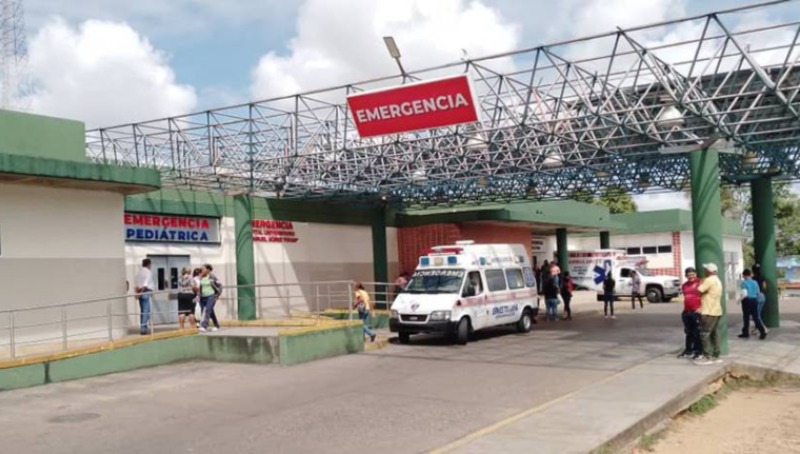 Cuatro niños hospitalizados tras consumir fruta de piñón que había en una casa