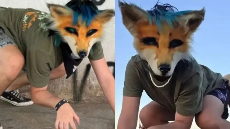 Tendencia "Therian” en Caracas: La Gaceta Municipal sobre estas conductas