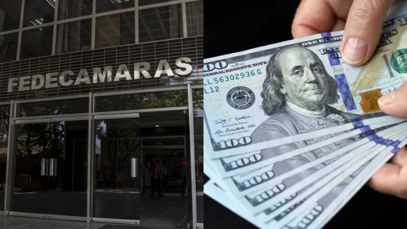 Las propuestas de Fedecámaras para impulsar el sector privado en el mercado internacional