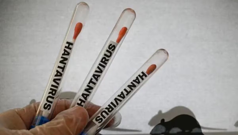 ¿Será una nueva pandemia? Esto dice especialista sobre el hantavirus y su impacto