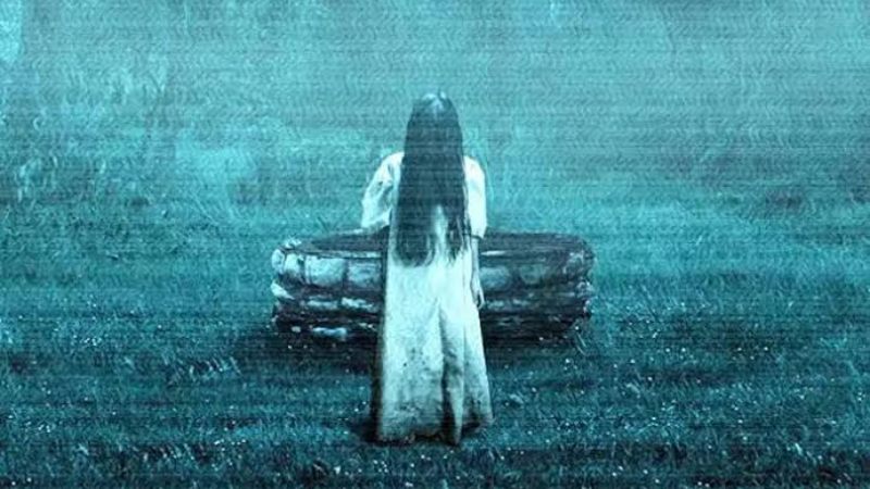 Murió famosa actriz de la película de terror «El Aro» y «Lilo & Stitch»