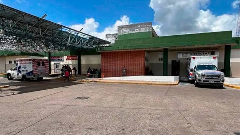 Un burro le mordió los genitales y tuvieron que amputárselos