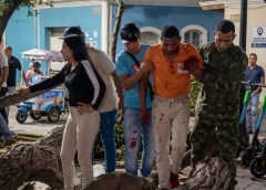 Estaban en un parque de Cumaná y les cayó un árbol encima: una abuela fallecida y dos heridos