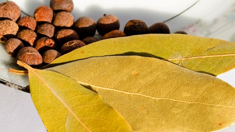 Laurel, canela y clavo de olor: los poderosos ingredientes para tu casa
