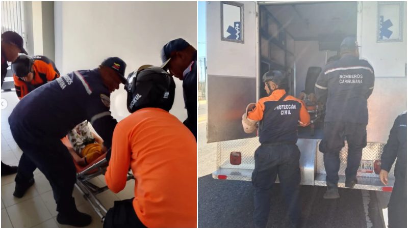 Horror en Punto Fijo: Mujer asesinó a cuchilladas a su propio hijo de 8 años