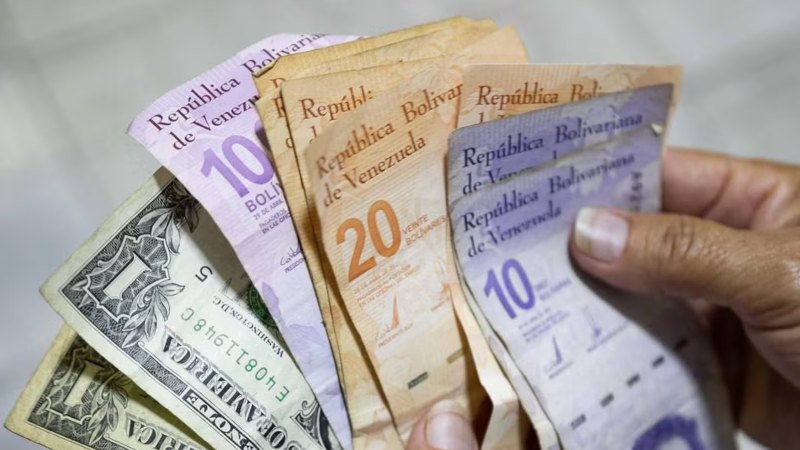 Así cerrarían el dólar BCV y paralelo 2026, según estimaciones de un conomista