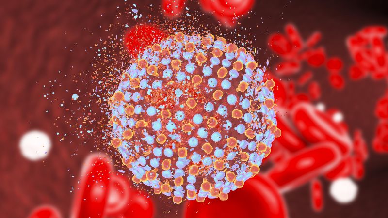 Hepatitis C: cómo se contagia y cuáles son los síntomas
