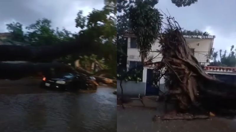 Embarazada resultó herida tras caída de árbol sobre su carro durante aguacero en Valencia